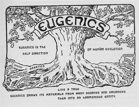 Debunking Eugenics Reader